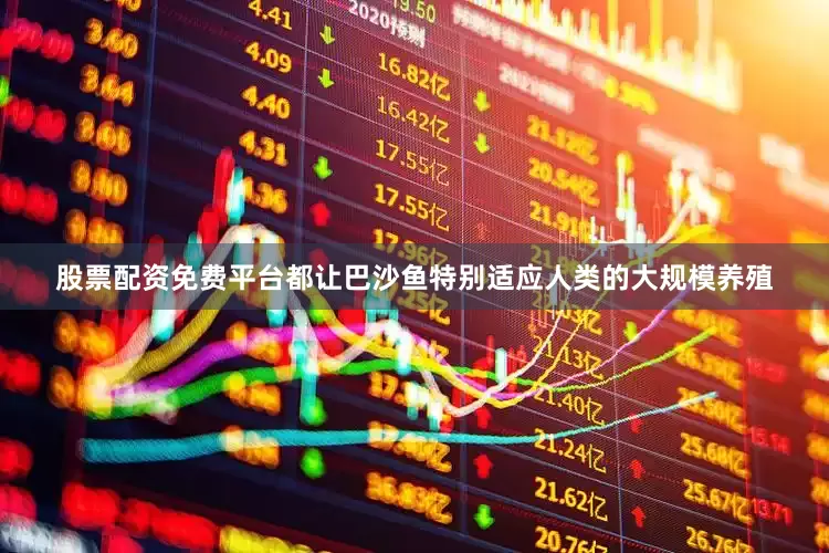 股票配资免费平台都让巴沙鱼特别适应人类的大规模养殖