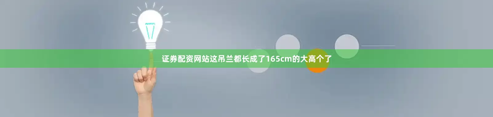 证券配资网站这吊兰都长成了165cm的大高个了