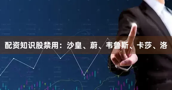 配资知识股禁用：沙皇、蔚、韦鲁斯、卡莎、洛