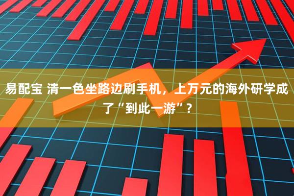 易配宝 清一色坐路边刷手机，上万元的海外研学成了“到此一游”?